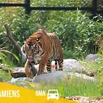 Le Chaudron D'or - 41m2 - Hyper Centre - Mezzanine - Clim - Wifi Hd Apartamento Amiens