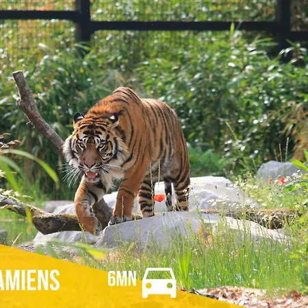 Le Chaudron D'or - 41m2 - Hyper Centre - Mezzanine - Clim - Wifi Hd Apartment Amiens