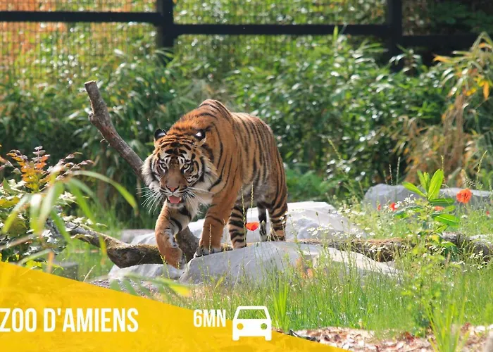 Le Chaudron D'or - 41m2 - Hyper Centre - Mezzanine - Clim - Wifi Hd Appartement Amiens